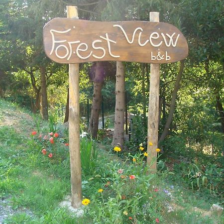 Forest View B&B Gavi Extérieur photo