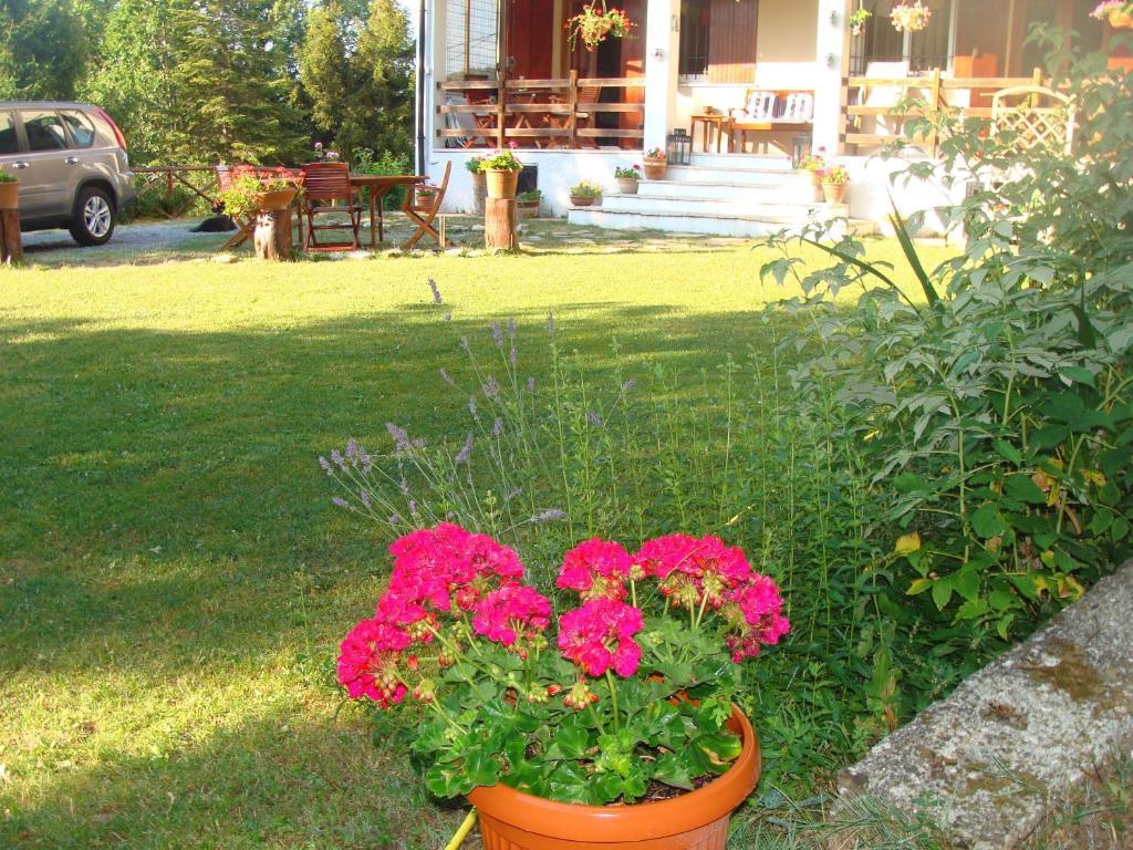 Forest View B&B Gavi Extérieur photo